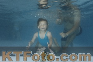 Photo 4266642