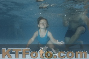 Photo 4266643