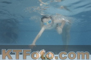 Photo 4266645