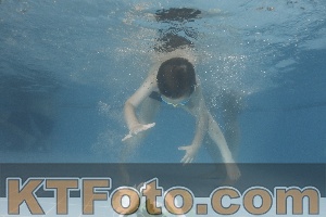 Photo 4266646