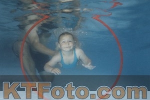 Photo 4266659