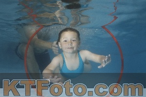 Photo 4266660