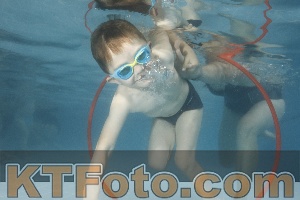 Photo 4266665