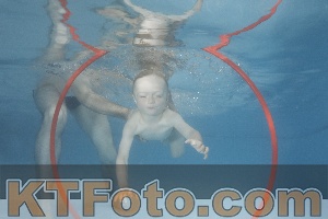Photo 4266667