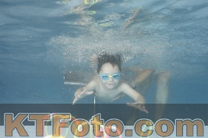 Photo 4266675