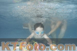 Photo 4266676