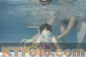 Photo 4266677
