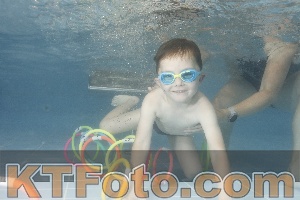 Photo 4266678