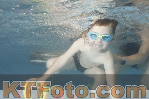 Photo 4266679