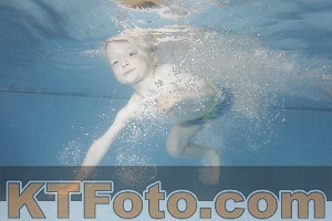 Photo 4266734