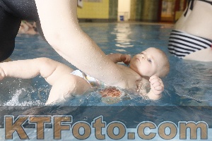Photo 4303062