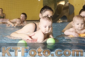 Photo 4303083