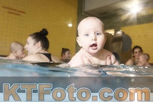 Photo 4303106