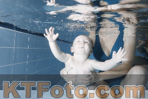 Photo 4303123