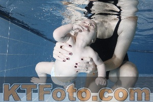 Photo 4303126