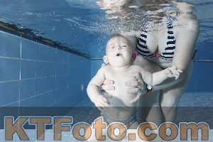 Photo 4303127