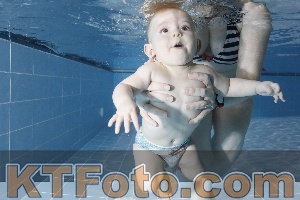 Photo 4303128