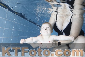 Photo 4303133