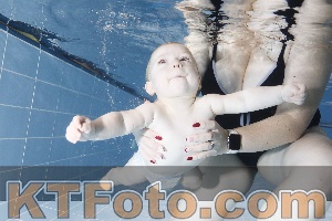 Photo 4303134