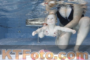 Photo 4303162