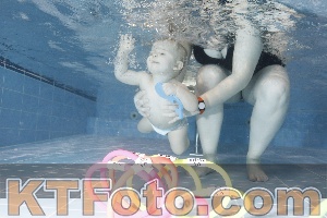Photo 4303167