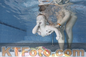 Photo 4303169