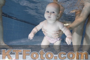 Photo 4303173