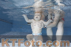 Photo 4303174