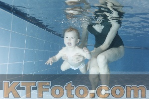 Photo 4303342