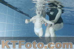 Photo 4303343