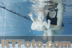 Photo 4303344