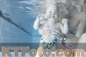 Photo 4303347