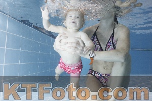 Photo 4303349