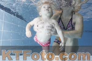 Photo 4303350