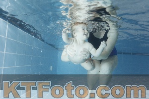Photo 4303352
