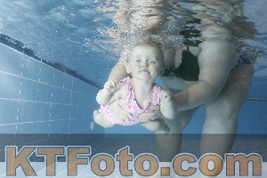 Photo 4303354
