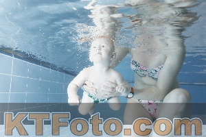 Photo 4303356