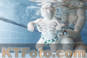 Photo 4303358