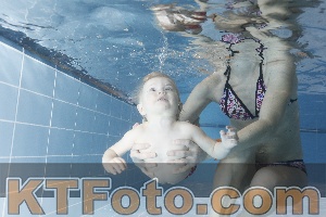 Photo 4303362
