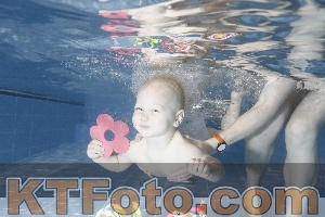 Photo 4303399