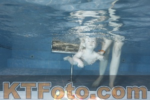 Photo 4303401