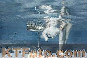 Photo 4303402