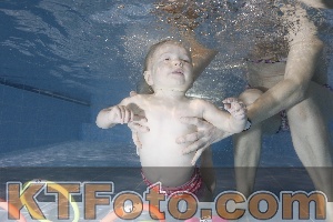 Photo 4303406