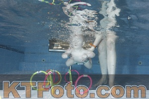 Photo 4303409