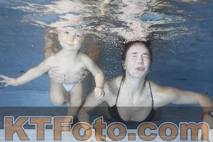 Photo 4303440
