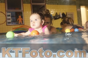 Photo 4303534