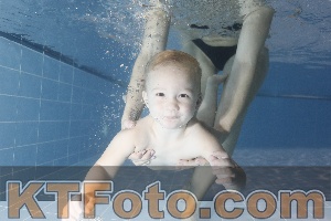 Photo 4303575