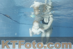 Photo 4303578