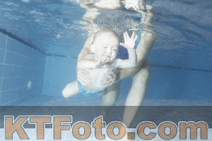 Photo 4303585