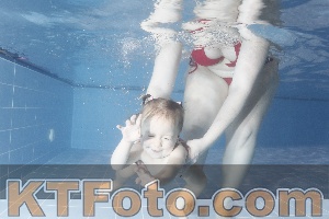 Photo 4303588
